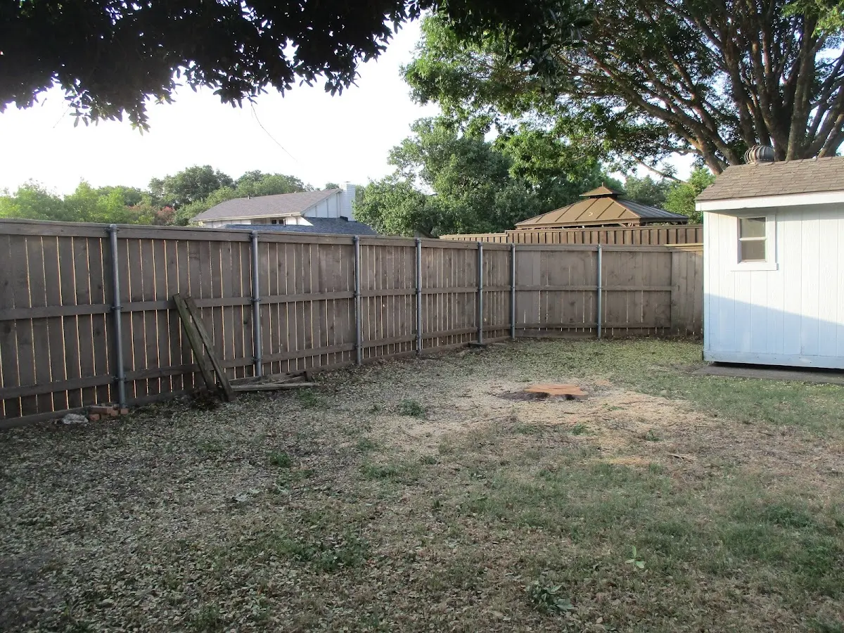 Cleared yard after professional tree removal in Palisade